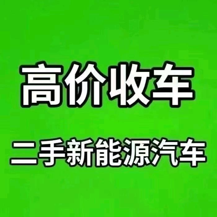 上海Mr程新能源二手车