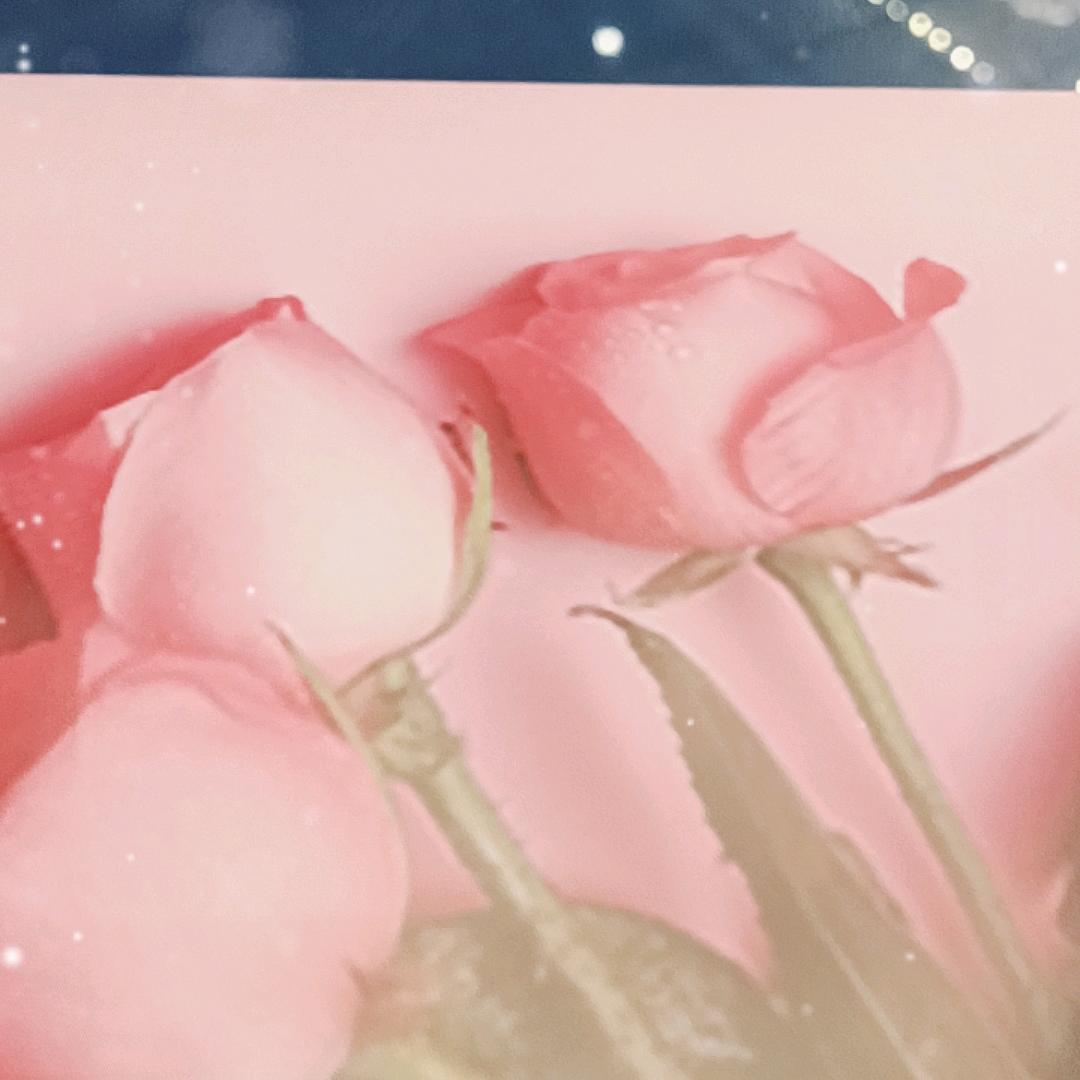 一半苹果57587364