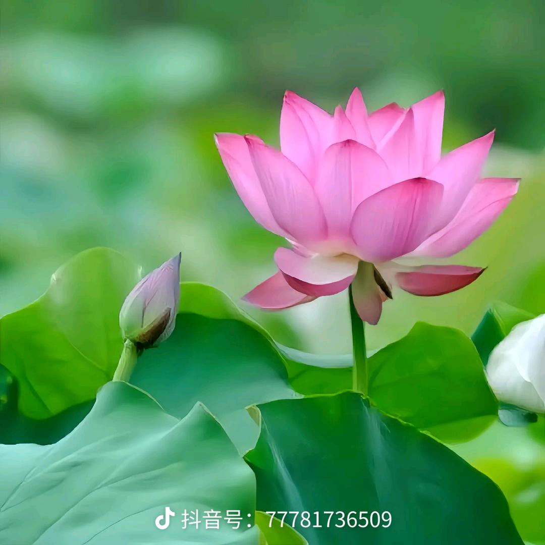最美的时光