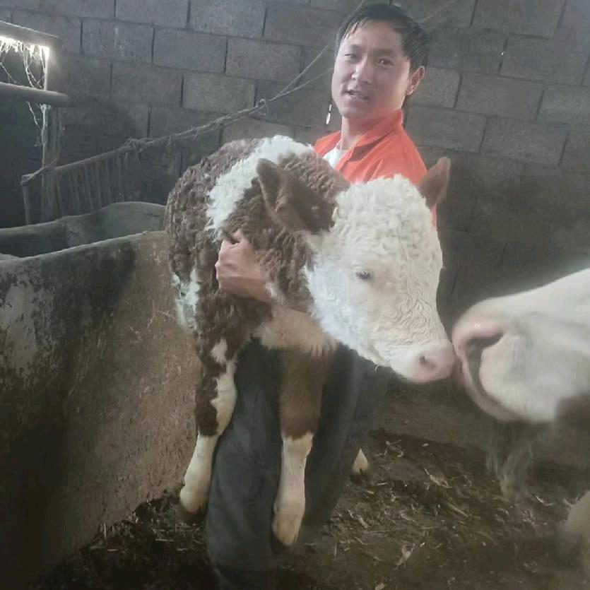 丹霞镇牛人团队   王由能