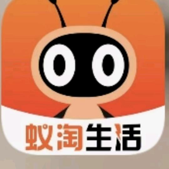 蚁淘———专业