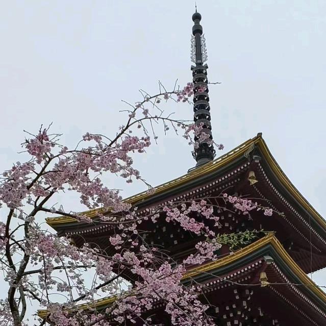 一起快乐
