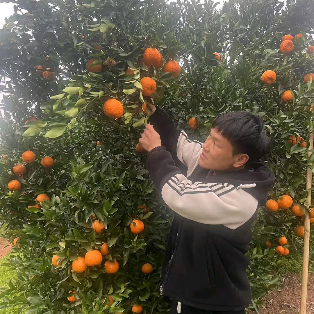 吕林伟