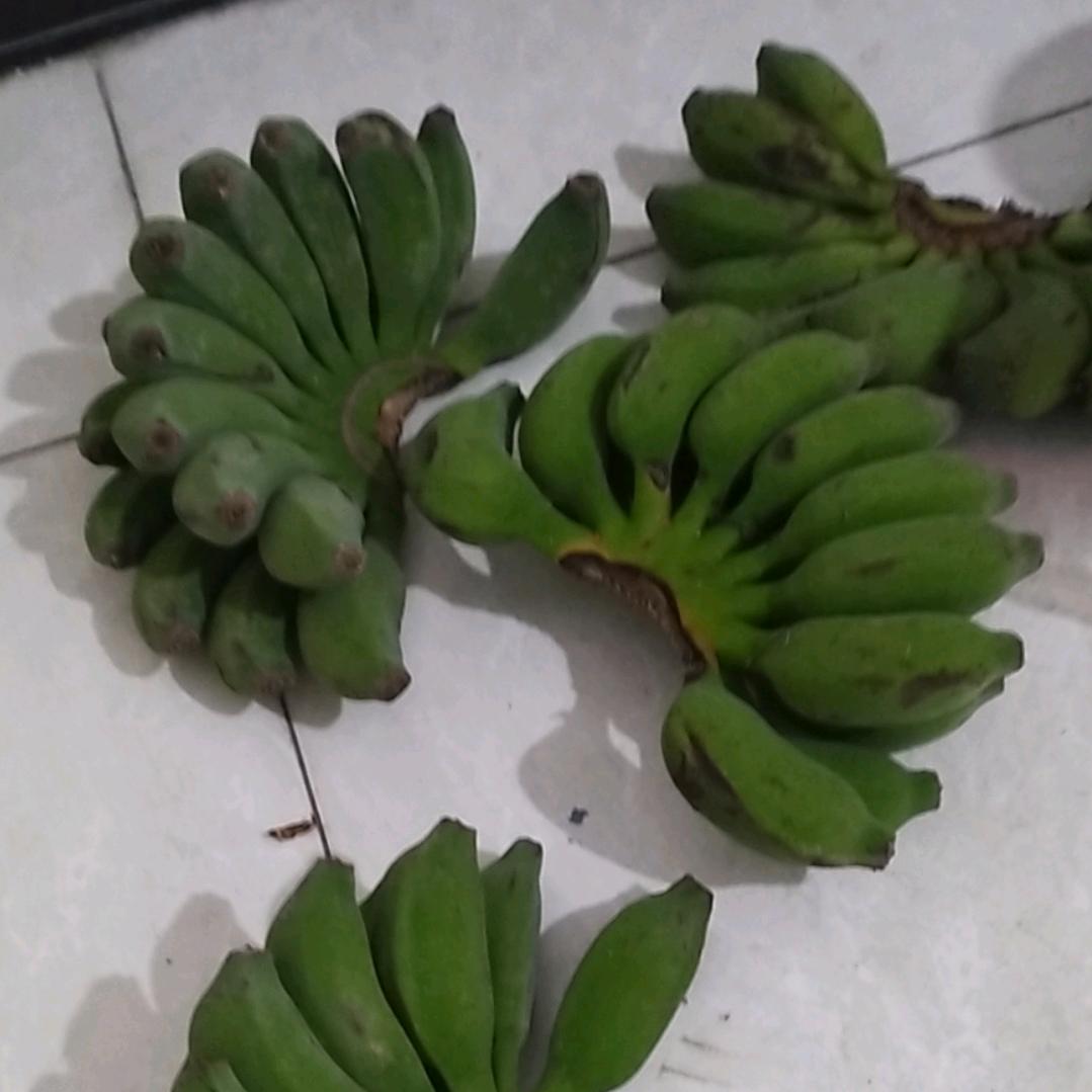 北京舒昕坊