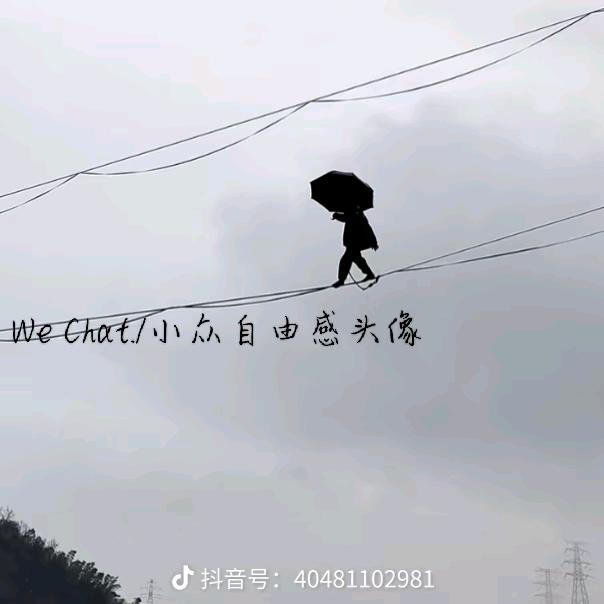 鸿南飞