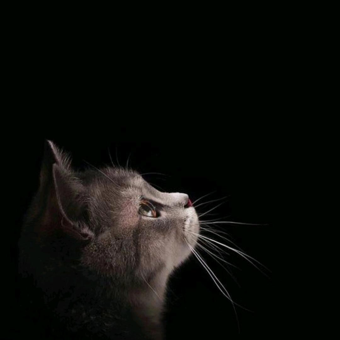 戒不掉的瘾