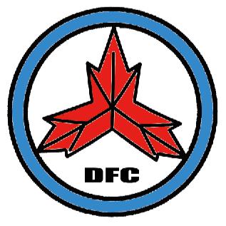 大枫车说车李小