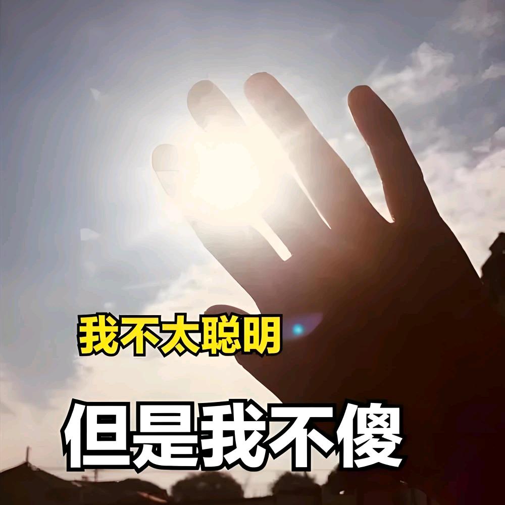 为了老头票送笔给他造