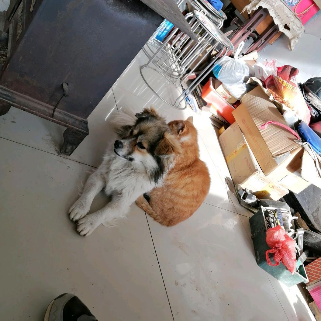 多个朋友多条路。