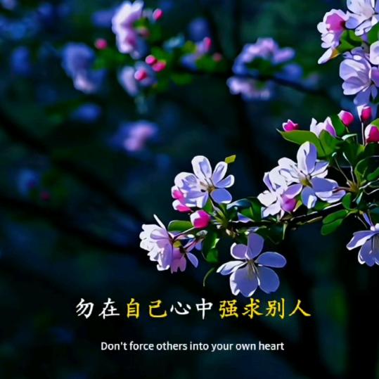 馨谷幽兰