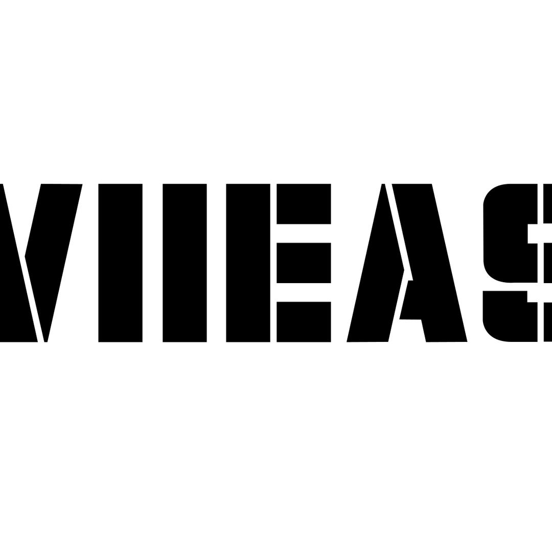 VIIEAS名仕男鞋专卖店