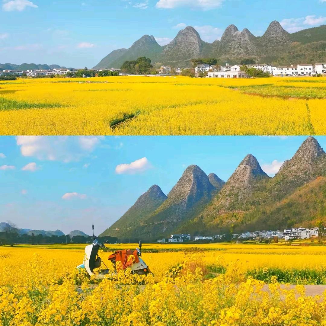 贵州旅游❤️小花