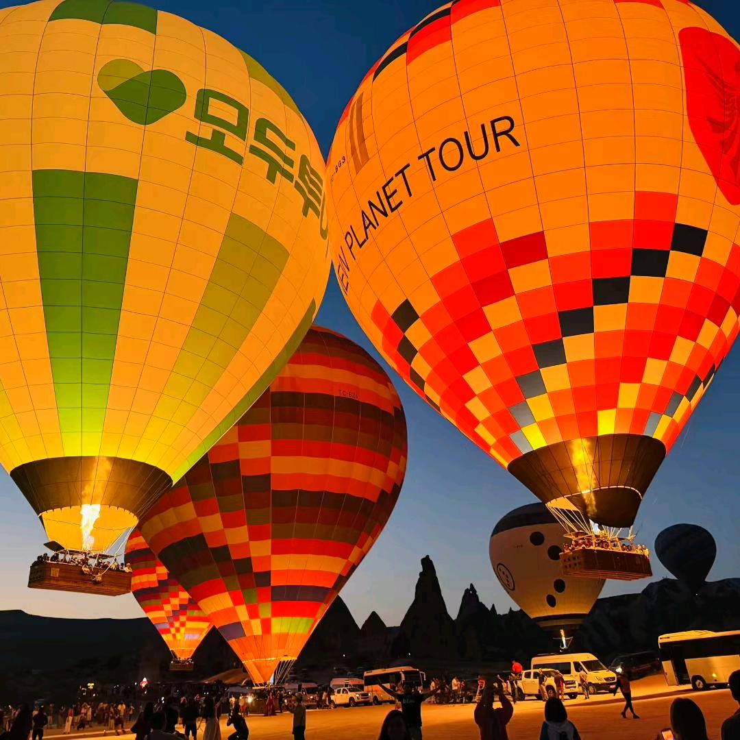 🐏🐏🐏🐏🐏🐏