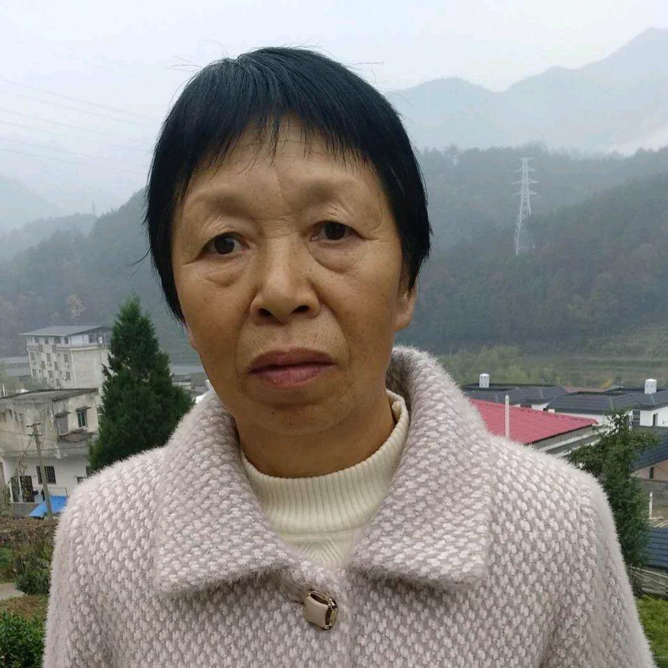 英凤紫阳