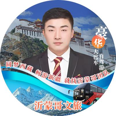 安徽去西藏 游新疆（沂蒙哥团队）