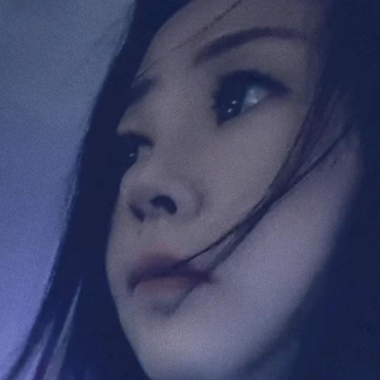 毛毛虫