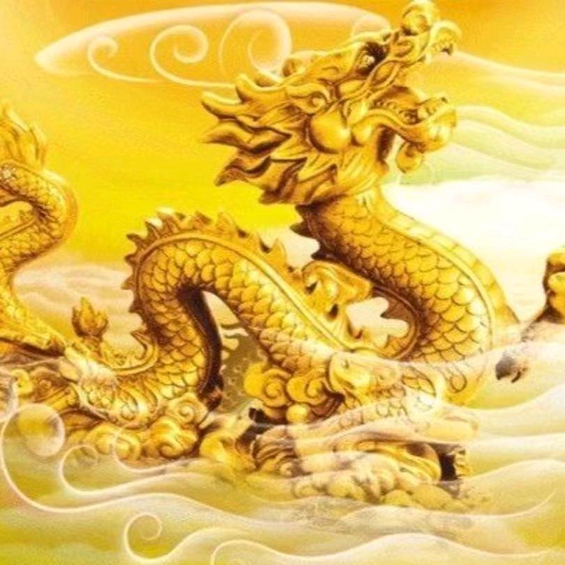 天龙粉丝