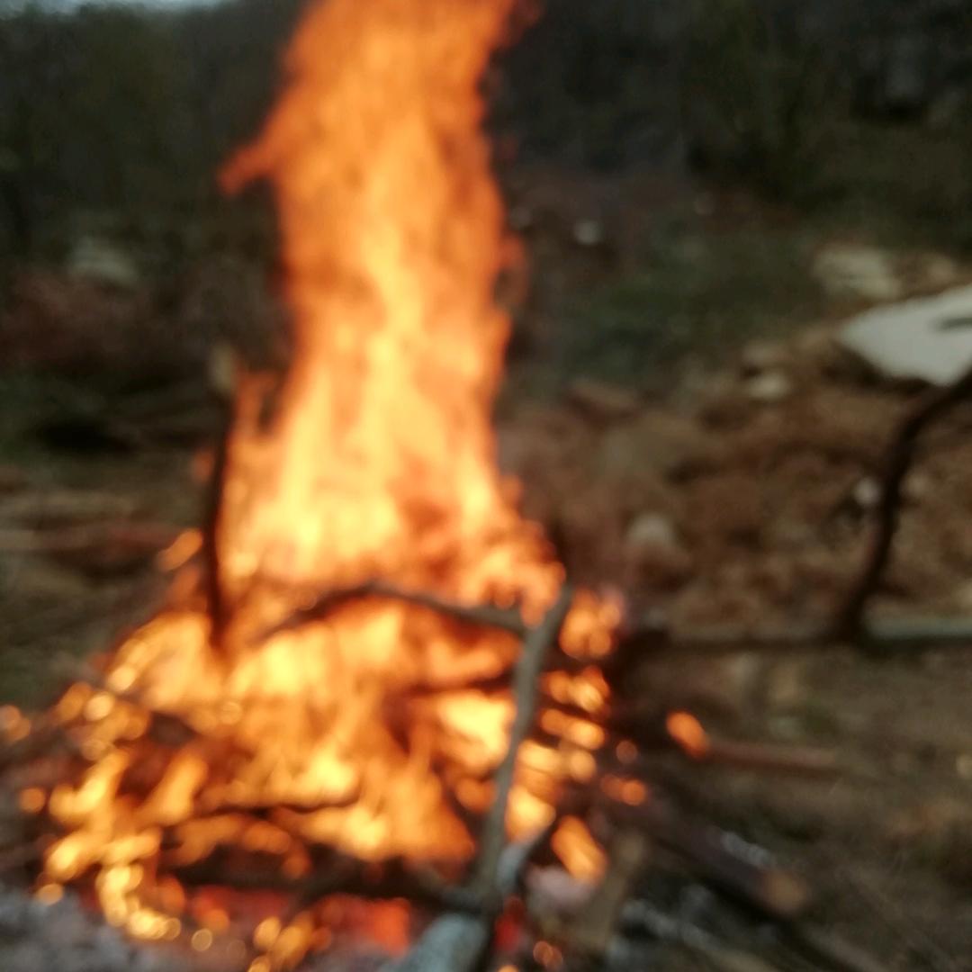 🔥天长地久🔥
