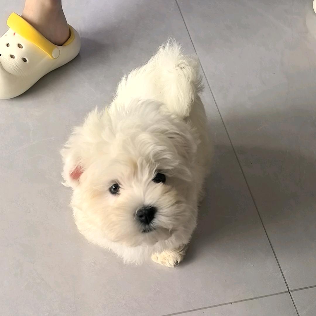 曾经沧海难为水