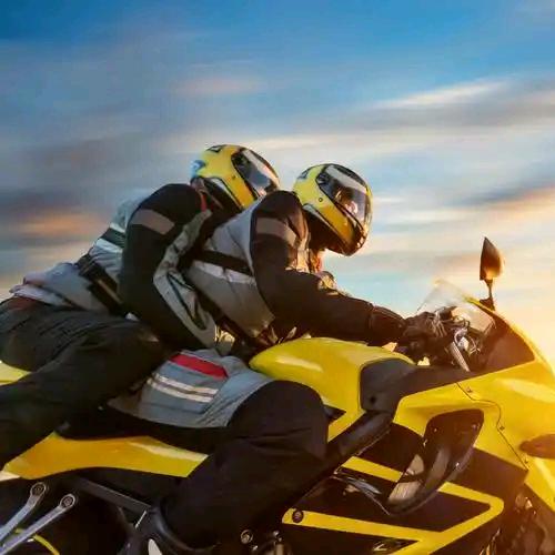 小莫得回忆森林