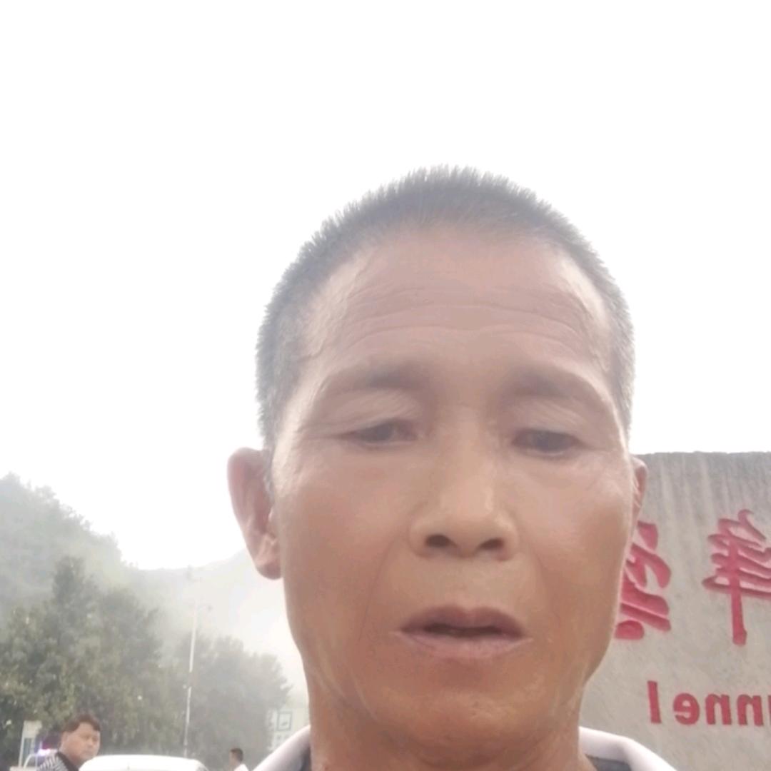 落叶随风