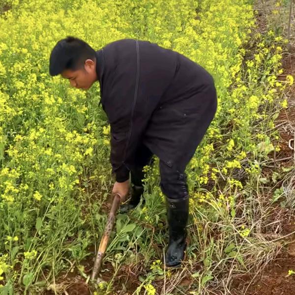 逍遥村夫