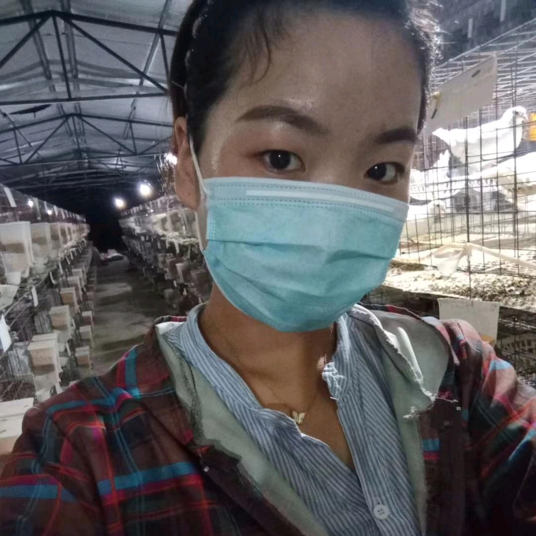 娜娜养鸽