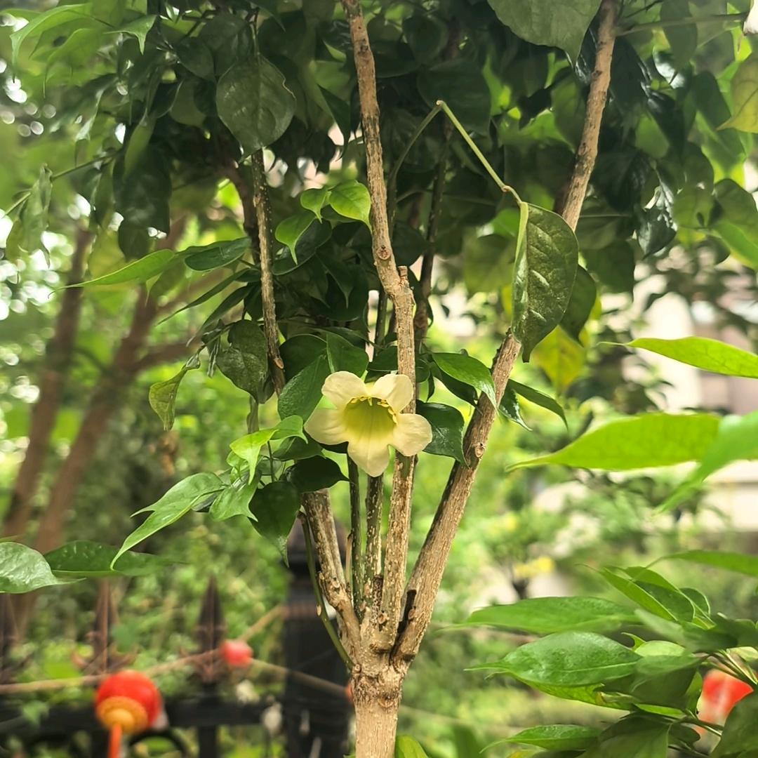 明天依然是晴天☀☀☀