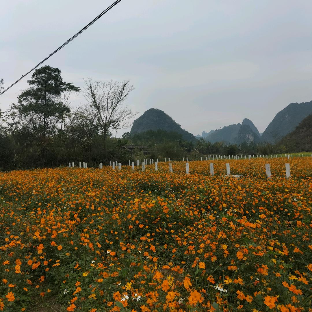 夕阳无限好，只是近黄昏