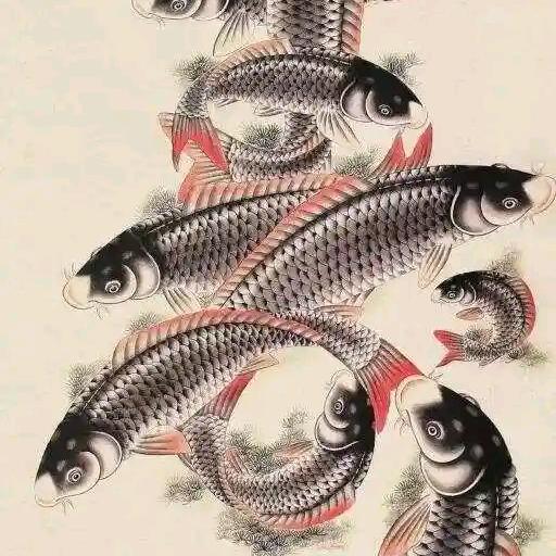 爱钓鱼的分享家《锦明》