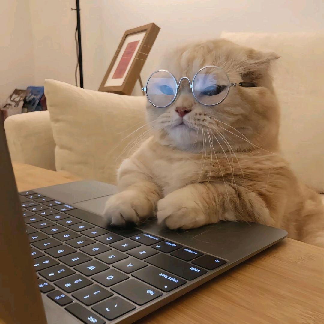 桂味流心柿子蜜饯