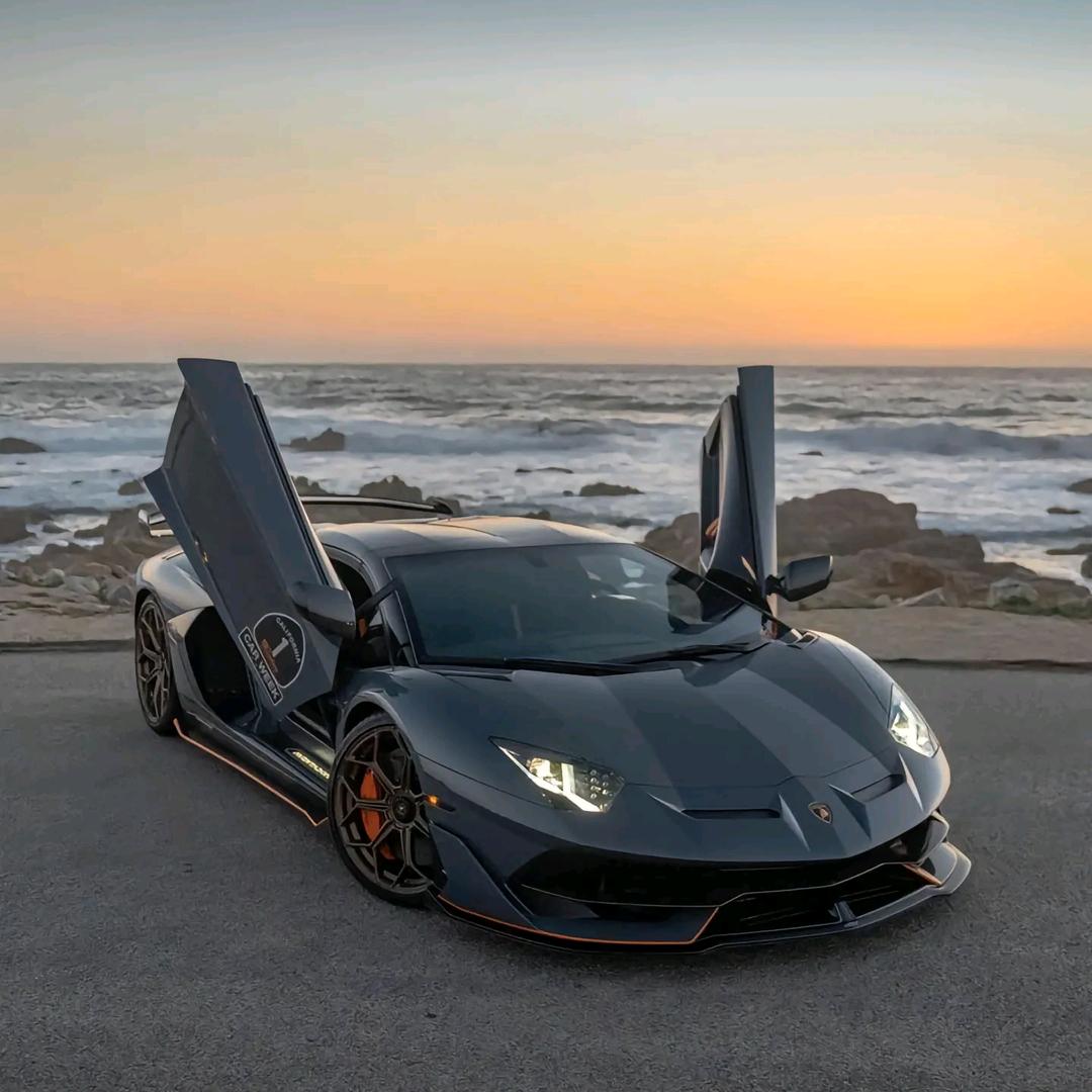 华南数码主播文总