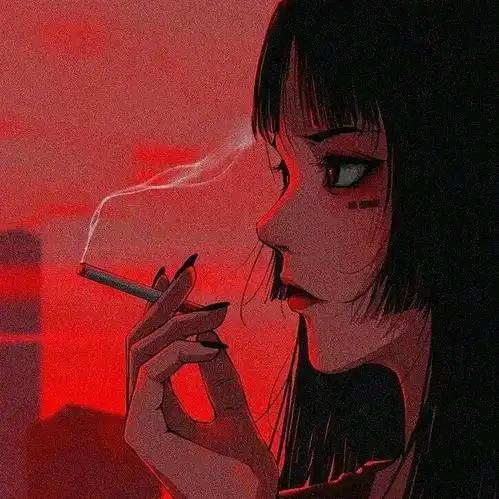 玫瑰花开了