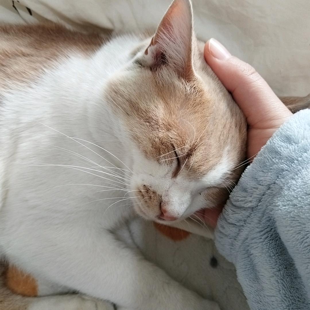 最熟悉的陌生人