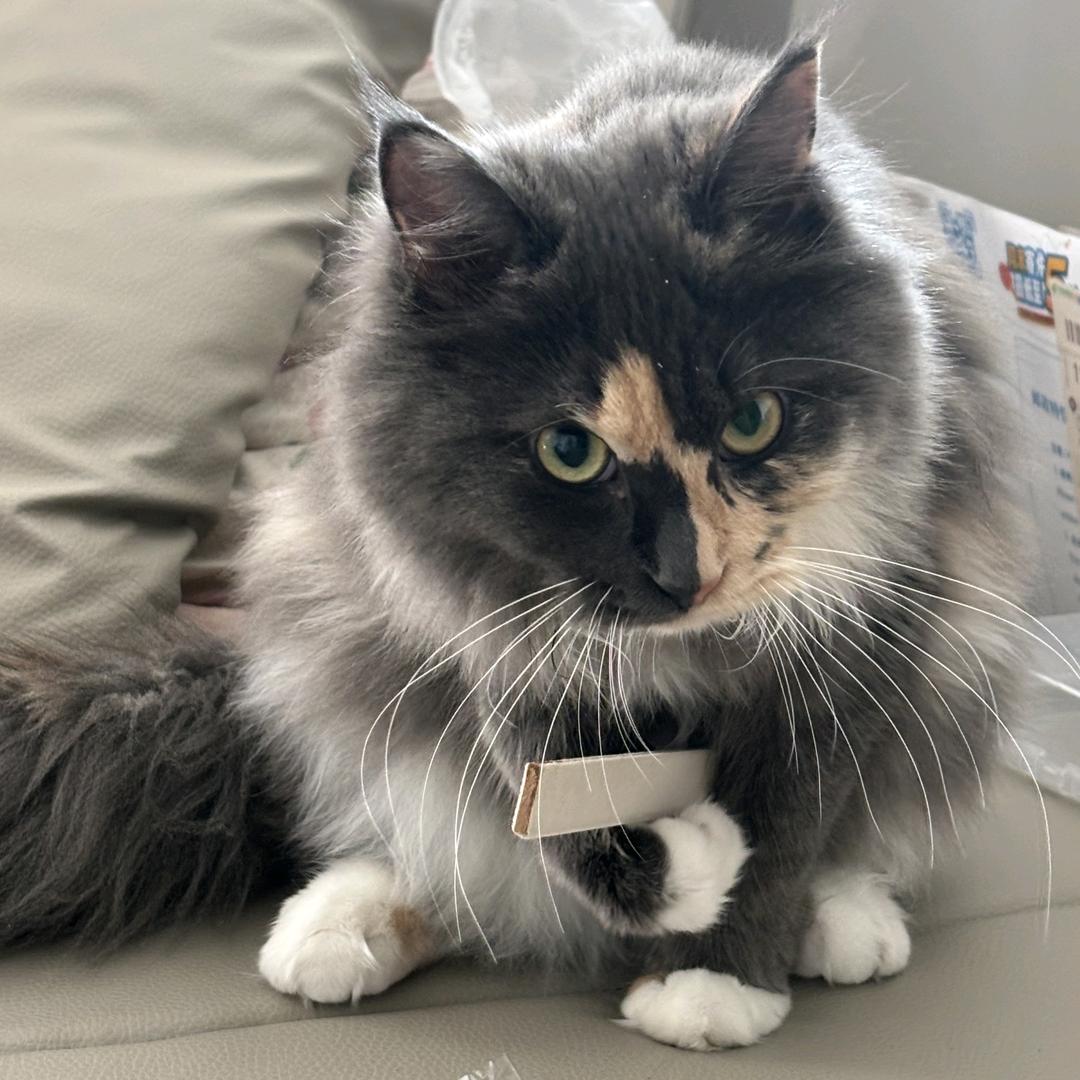 哈哈哈哈哈哈哈哈哈哈