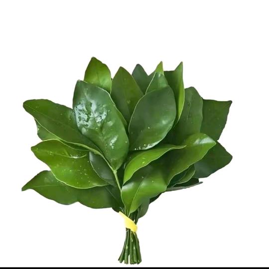 10点的晚风