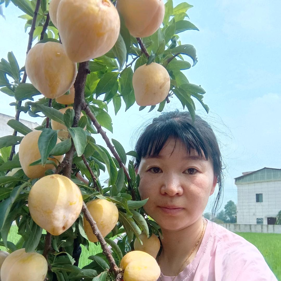 贵州玉秀果业