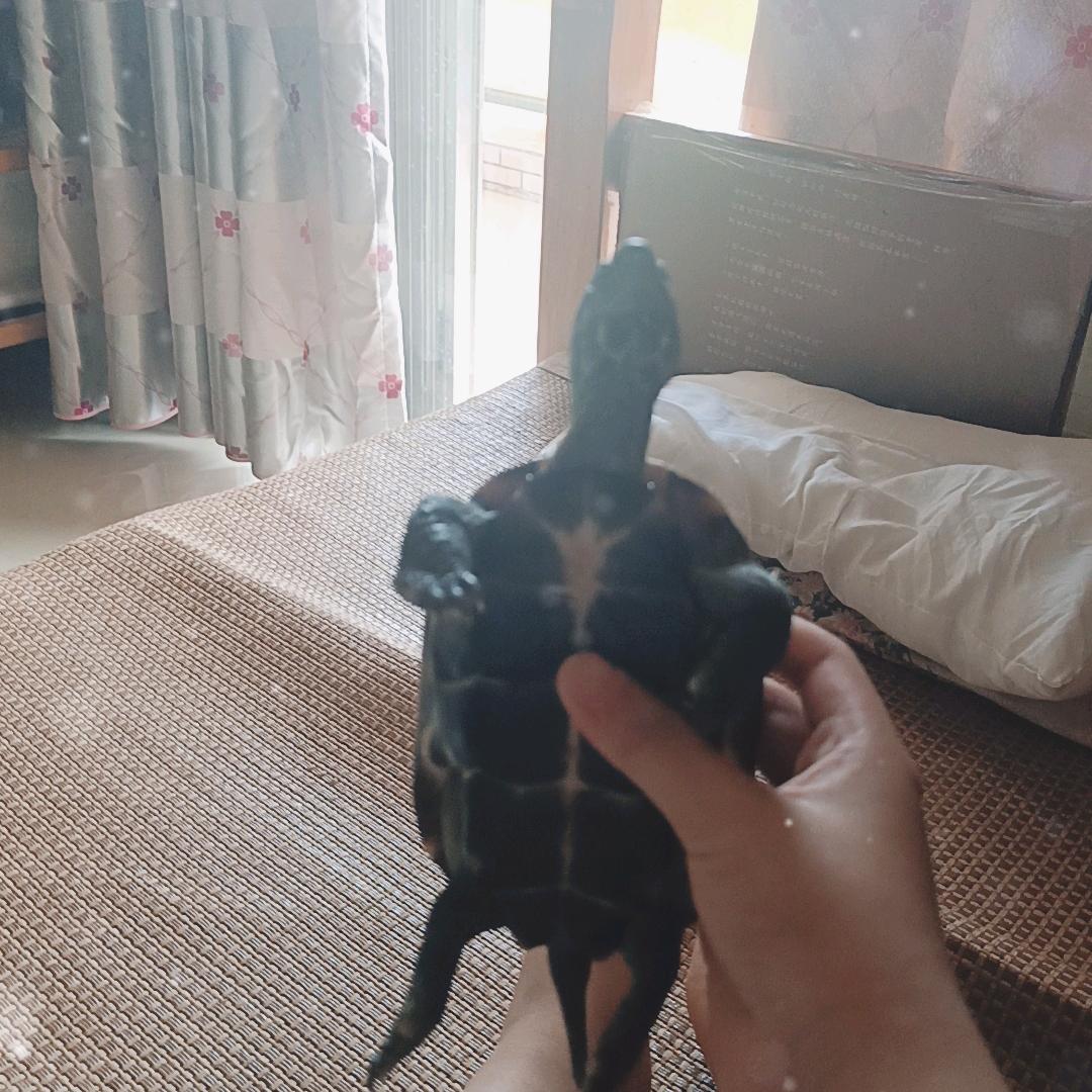 迷你世界最好玩