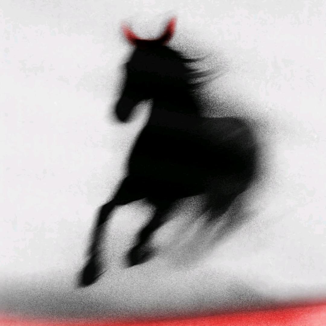 然然走起