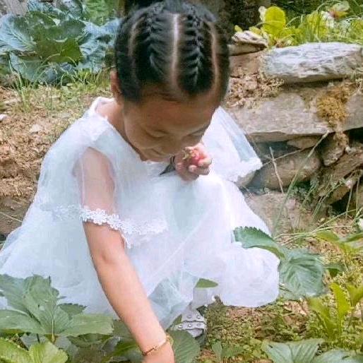 花中的仙女