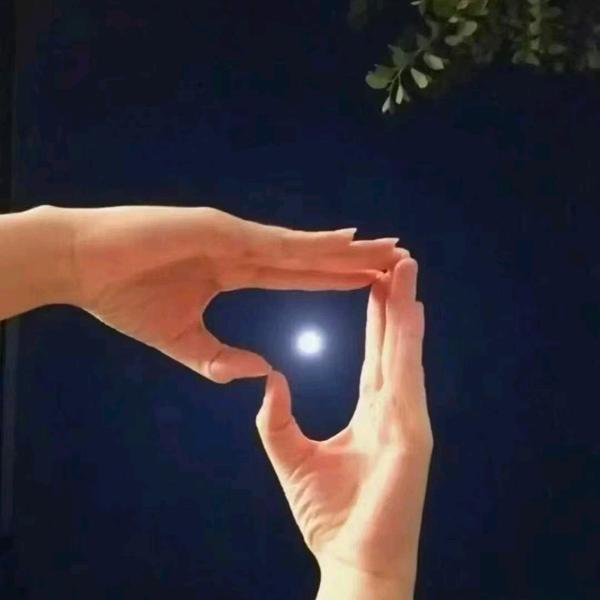 丁木懂鞋不会