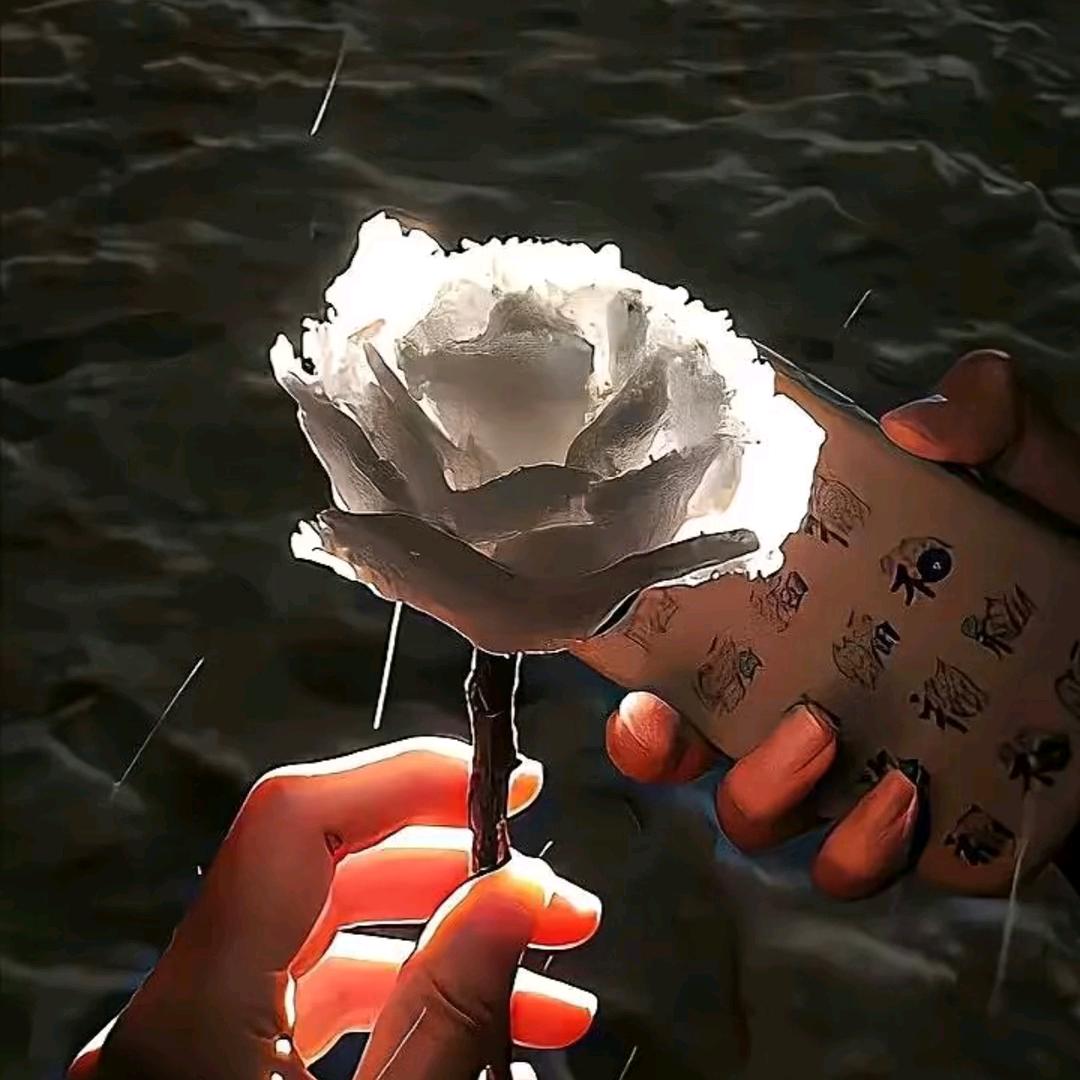 初秋的梦(ˊ˘ˋ*)♡