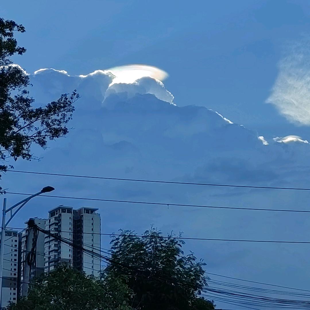 南渡北归