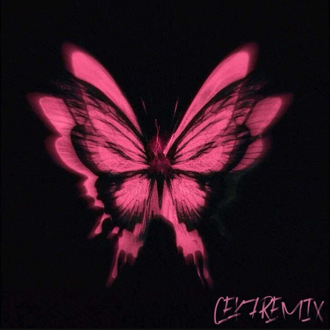 搬一个梯子  让我们爬到月亮上面去吧