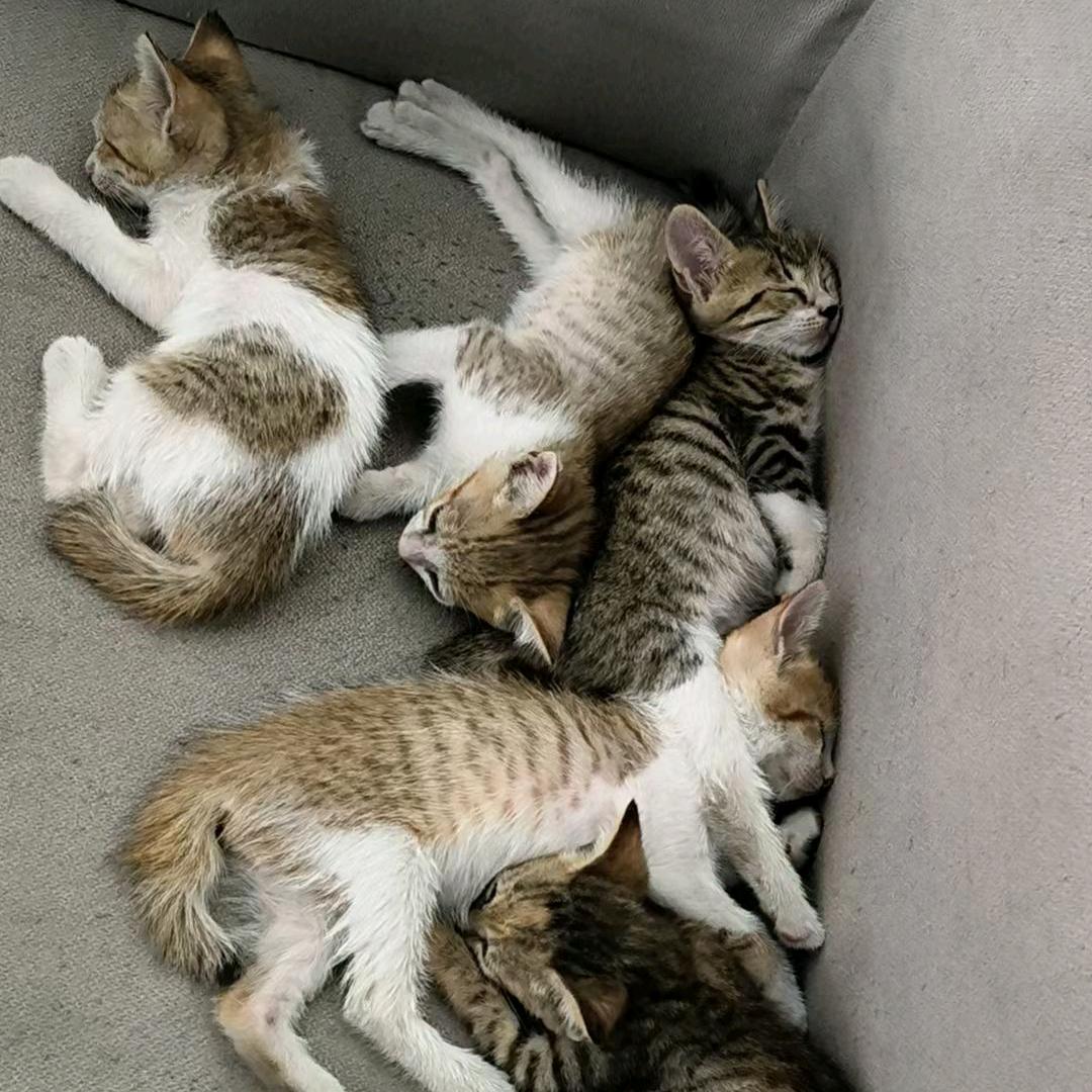 你叫我吗？