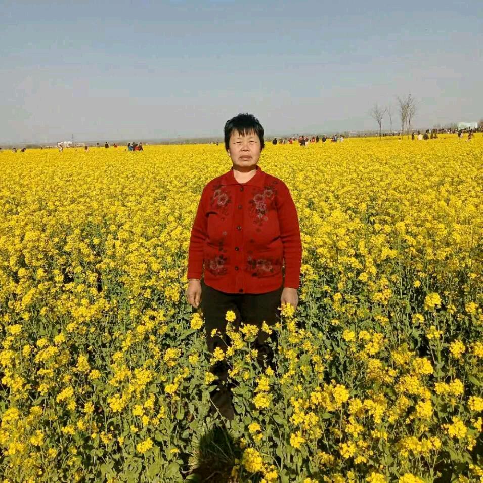 面包奶奶