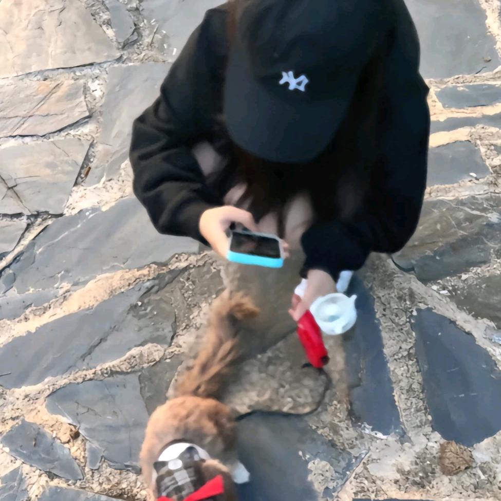 劉文*