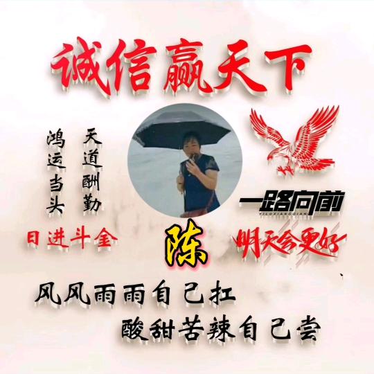 风雨中的伞👉陈