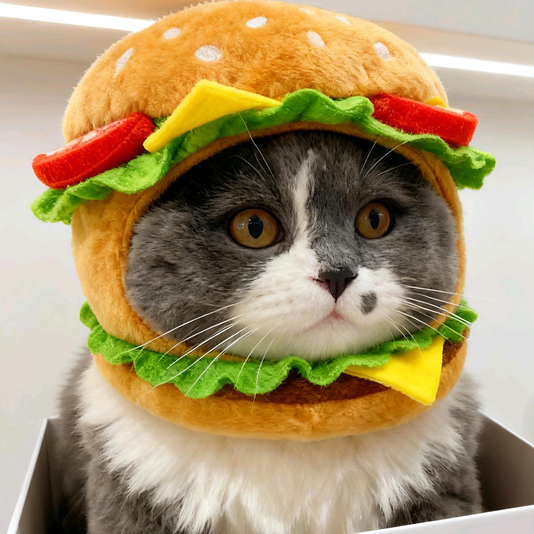 再玩一会儿就睡觉