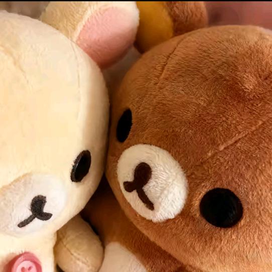 朝朝暮暮的朝朝